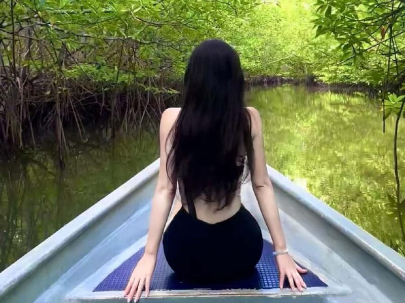 Bintan: Mangrove Discovery Boat Tour - Why This Tour Offers Great Value