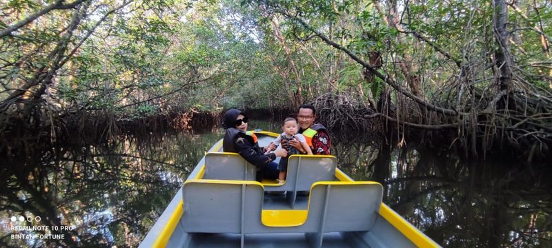 Bintan Mangrove Discovery Half-Day Small Group Tour - What to know before you go