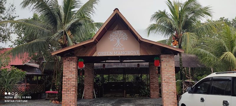 Bintan Mangrove Discovery Half-Day Small Group Tour - A quieter way to see the Sebong River