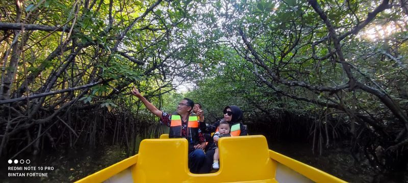 Bintan Mangrove Discovery Half-Day Small Group Tour - Mangroves or fireflies: choose the right package