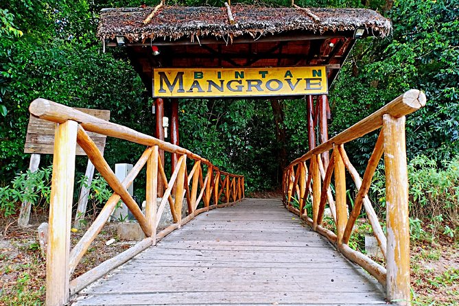 Bintan Mangrove Discovery Tour - Tour Highlights