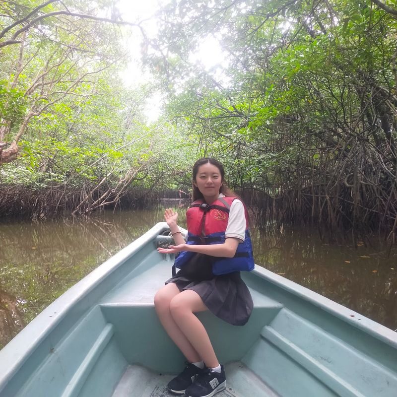 Bintan Mangrove Half-Day Private Experience - What the one-hour boat trip can show you