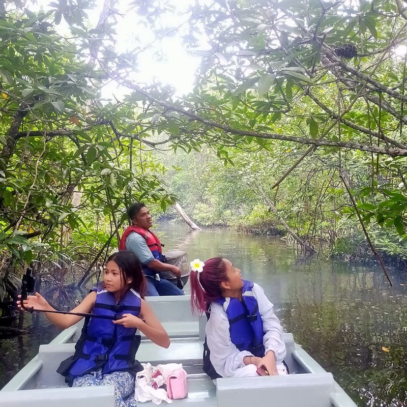Bintan Mangrove Half-Day Private Experience - Transfers, timing, and what to confirm