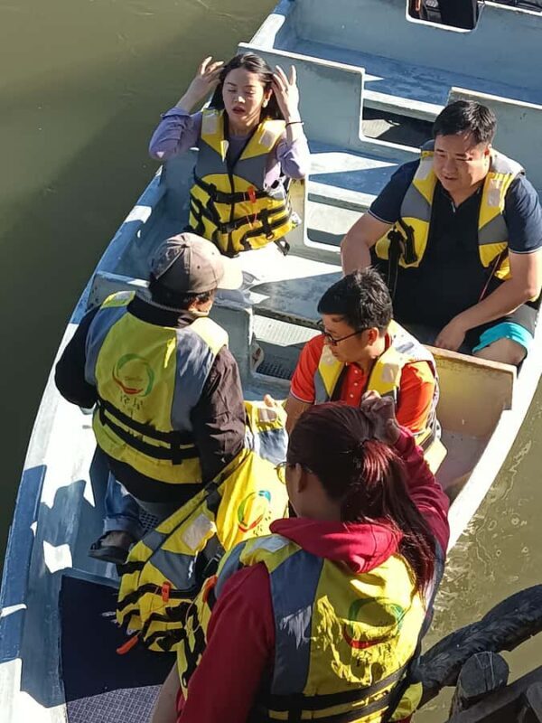 Bintan : Mangrove or Fireflies Tour - The Wildlife and Plant Life