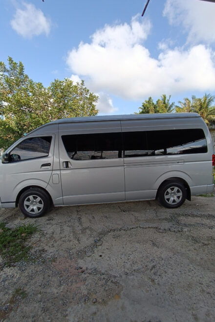Bintan Private Van Charter - Tips for a Great Experience