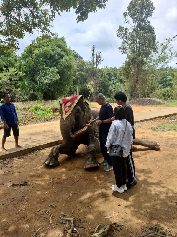 Bintan Safari Lagoi & Blue Lake Half-Day Private Tour - A seafood stop and a practical souvenir break