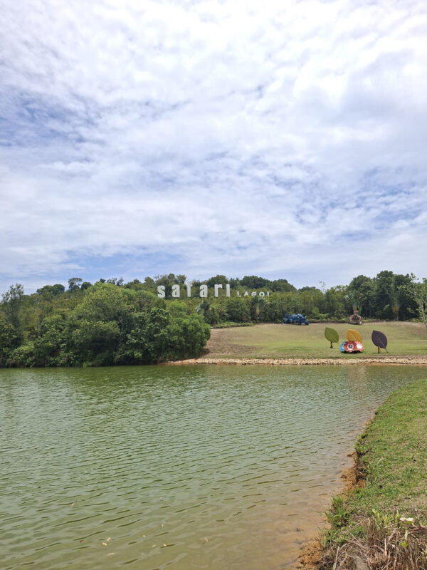 Bintan Safari Lagoi & Blue Lake Half-Day Private Tour - How the private-car format works