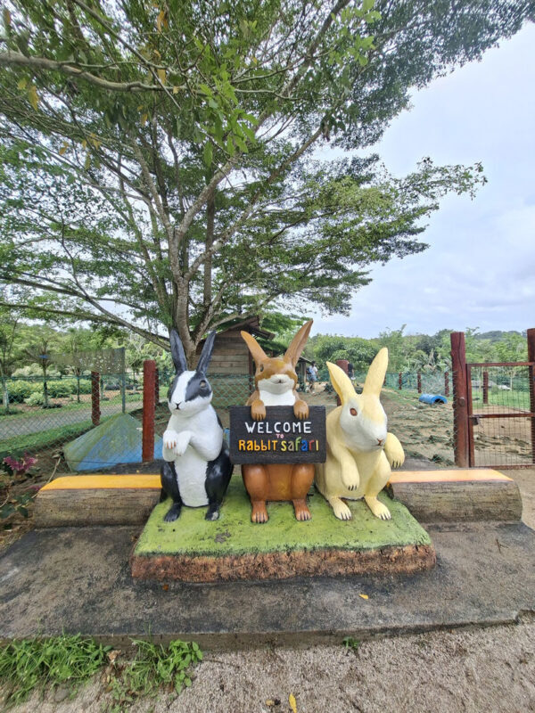 Bintan Safari Lagoi & Blue Lake Half-Day Private Tour - Who will enjoy this half-day best