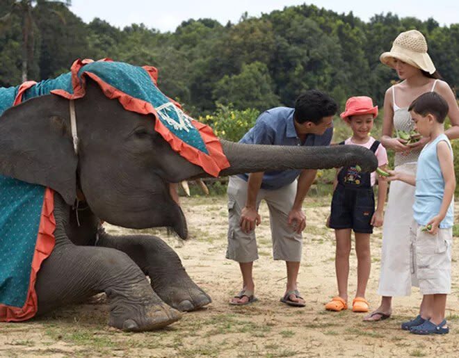 Bintan Safari Lagoi Tour - Transfers are a real part of the value