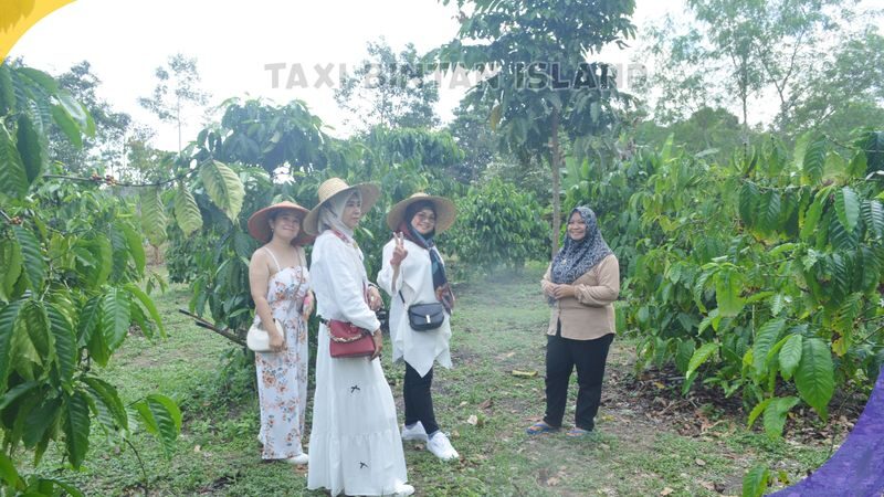 Bintan Sand Dune & Bee Farm Half-Day Private Tour - Who will get the most from this tour
