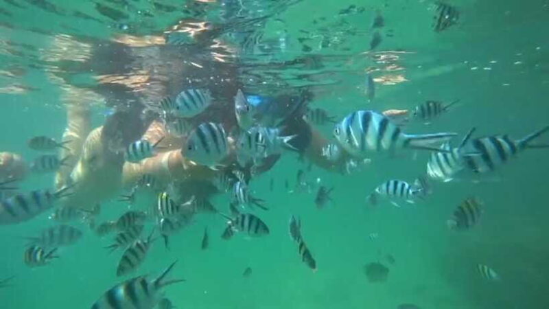 Bintan Snorkeling - Who Would Love This Tour?