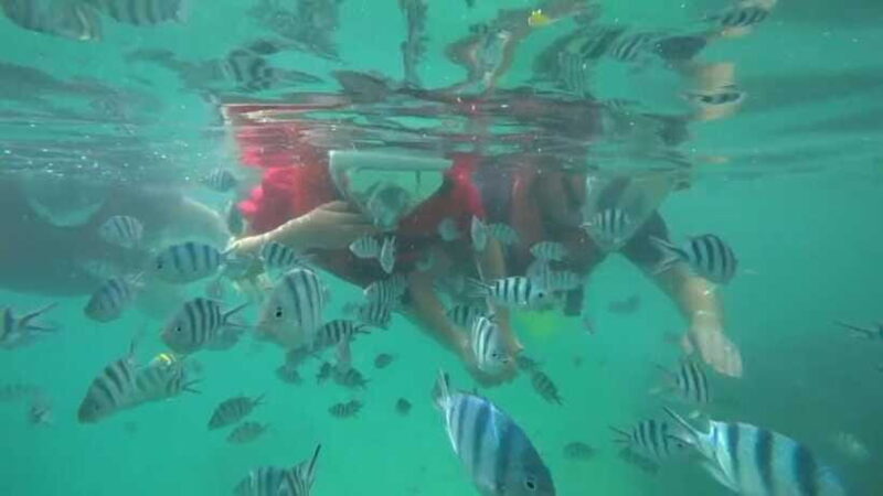 Bintan Snorkeling - The Scenic Surroundings