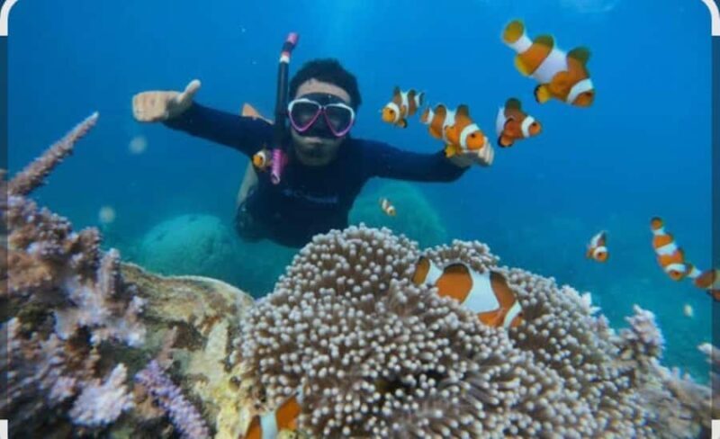 Bintan: Snorkeling, Kayaking, and Fishing Tour - A Detailed Look at the Tour Experience