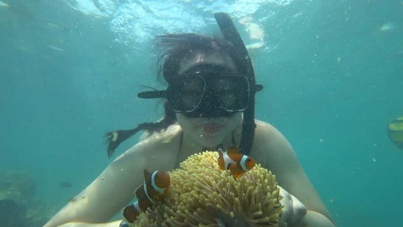 Bintan Snorkeling - Kayaking - Fun Fishing - Water Activity - Good To Know
