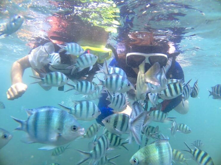 Bintan Snorkeling - Tour Details