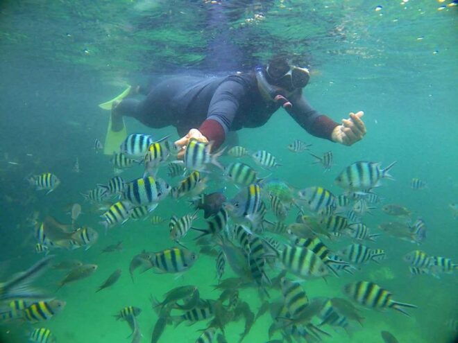 Bintan Snorkeling - Tour Inclusions