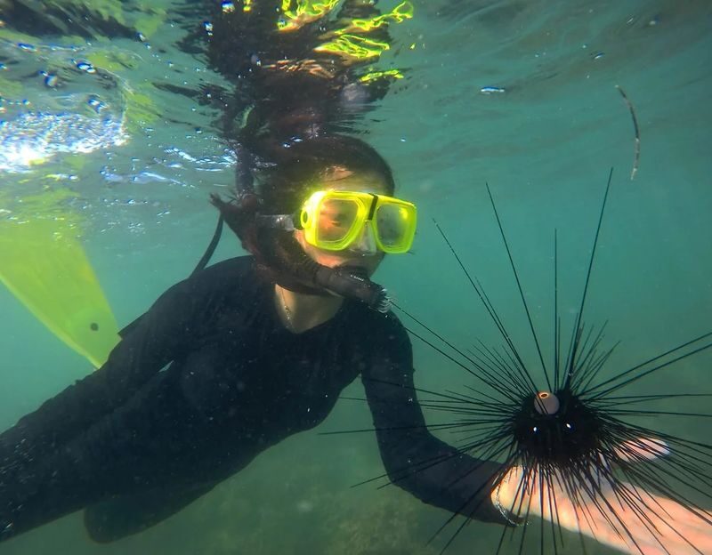 Bintan Snorkelling Tour with Lunch - Reaching the floating sea cottage