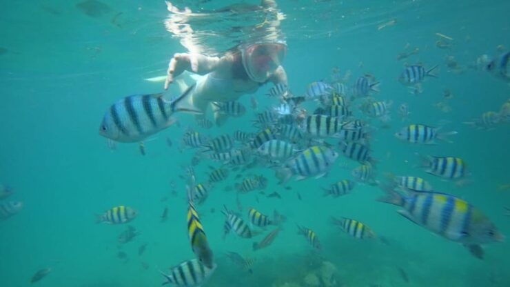 Bintan Taxi Online - Bintan Island Taxi - Key Points