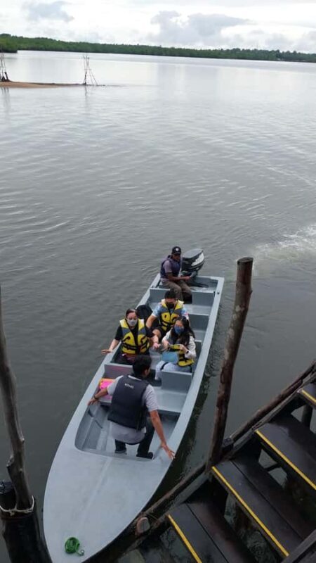 Bintan Tour Mangrove or Fireflies - An In-Depth Look at the Bintan Mangrove and Fireflies Tour