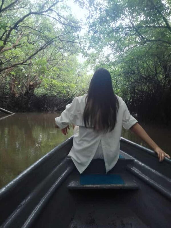 Bintan Tour Mangrove or Fireflies - Good To Know
