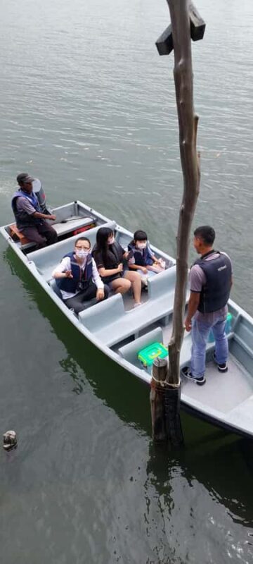Bintan Tour Mangrove or Fireflies - Transportation & Group Size