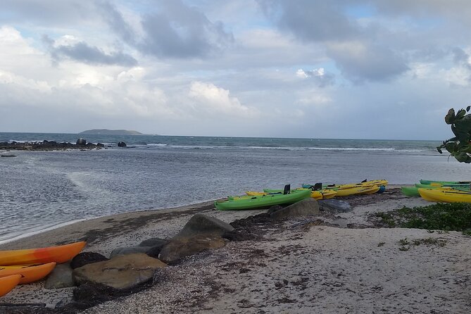 Bio Bay Fajardo Nature Reserve Night Kayak Tour  - San Juan - Tour Inclusions and Pricing