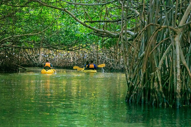 Bio Bay Fajardo Nature Reserve Night Kayak Tour  - San Juan - Meeting and Pickup Details