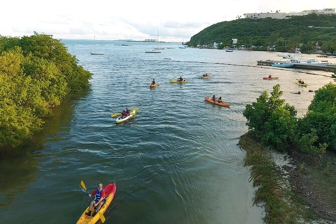 Bio Bay Fajardo Nature Reserve Night Kayak Tour  - San Juan - Additional Information and Reviews