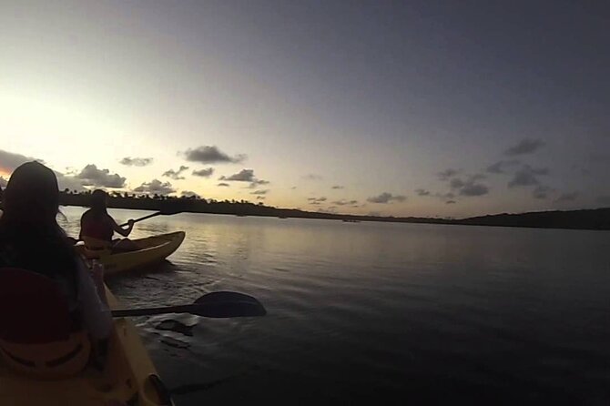 Bio Bay Fajardo Nature Reserve Night Kayak Tour  - San Juan - Directions