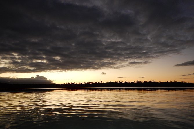 Bio Bay Kayak Tour in Fajardo - Meeting and Pickup