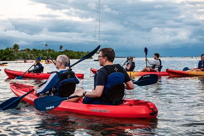 Bio Bay Kayak Tour in Fajardo - Customer Reviews