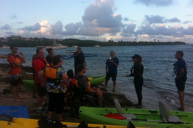 Bio Bay Night Kayaking - Round Trip Transportation From San Juan Area - Common Questions