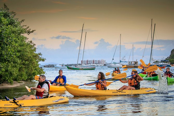 Bio Bay Night Kayaking With Transportation From San Juan Area - Meeting and Pickup