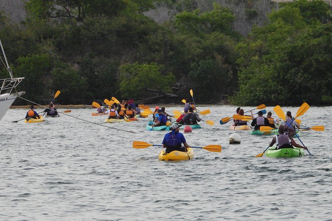 Bio Bay Night Kayaking With Transportation From San Juan Area - What to Expect and Cancellation Policy
