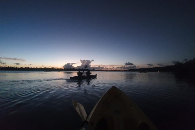 Bio Bay Night Kayaking With Transportation From San Juan Area - Physical Demands of the Kayaking Trip
