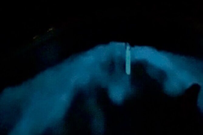 Bio Bay Tour Vieques  Full Clear Canoes Experience - What Travelers Love and What to Watch Out For