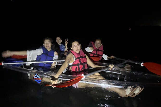 Bio Bay Tour Vieques  Full Clear Canoes Experience - Practical Tips for Your Bioluminescent Adventure