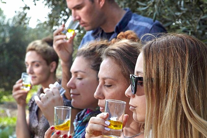 Bio Farm Private Olive Oil Tasting, Farm to Fork Meal & Temple of Poseidon Tour - Experience a Private Olive Oil Tasting