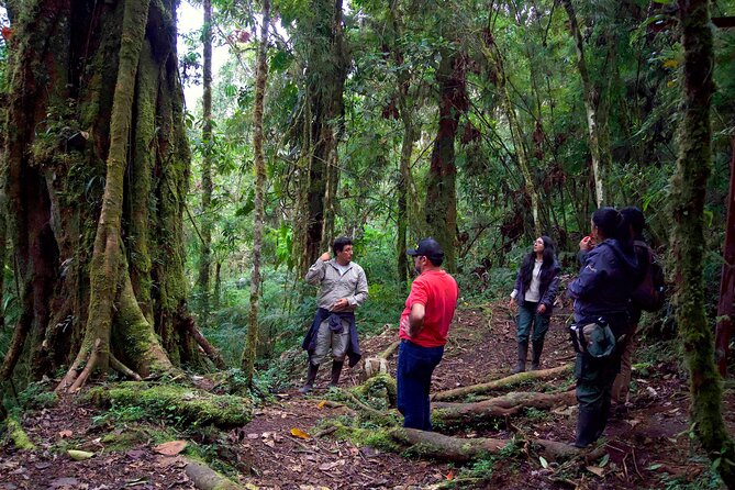 Bioacoustic Ecotourism Play Flora and Listen Fauna in Oxapampa - Introduction to Oxapampas Bioacoustic Ecotourism