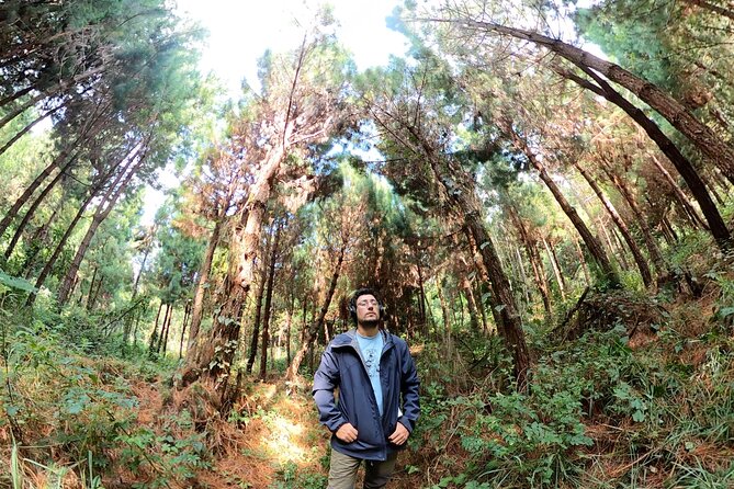 Bioacoustic Ecotourism Play Flora and Listen Fauna in Oxapampa - Discovering the Fauna of Oxapampa Through Sound