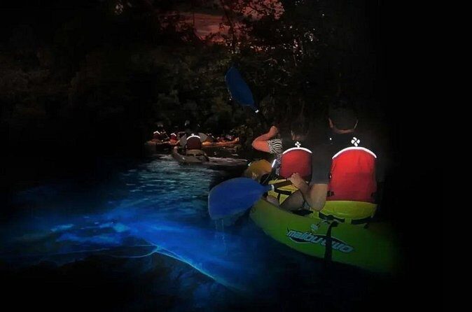 BioBay Sunset Splash-Kayaking Tour - Family-Friendliness and Unique Highlights