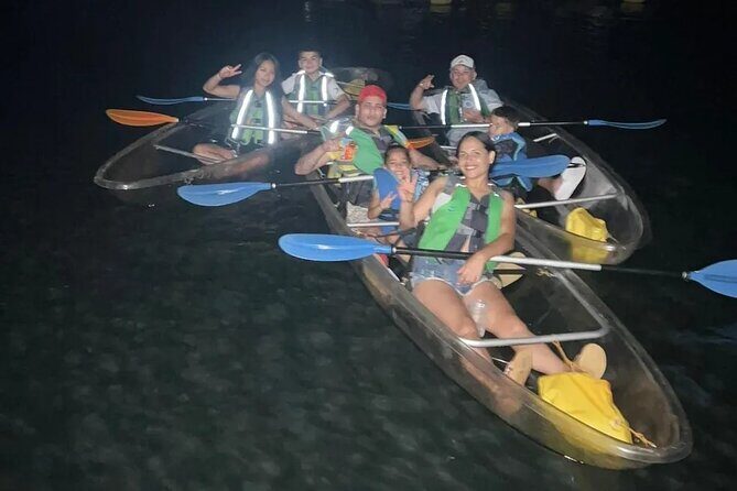 Biobay Vieques Tour Kayak Night Tour - Cost and Value