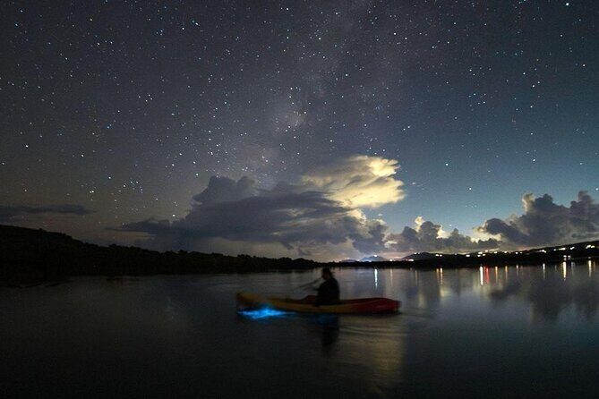 Biobay Vieques Tour Kayak Night Tour - Who Should Consider This Tour?