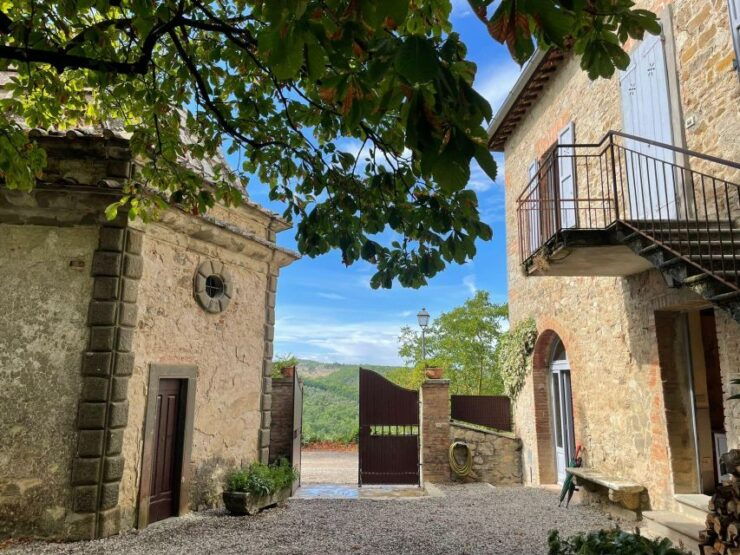 Biodynamic Chianti Wine Experience, a Day in Chianti - Experience Highlights