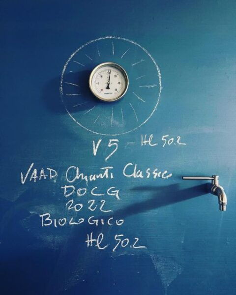 Biodynamic Chianti Wine Experience, a Day in Chianti - The Sum Up