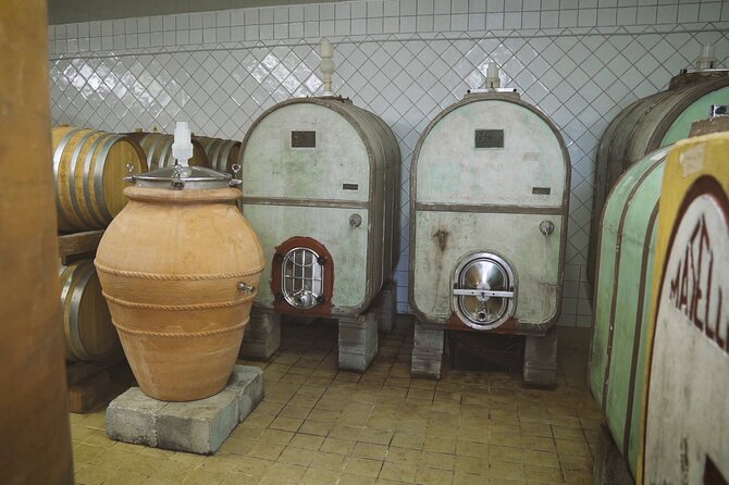 Biodynamic Wine Tasting With Producer in Vinci - Inclusions