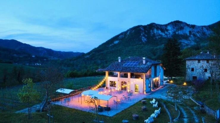 Biodynamics Vineyard Tour and Tasting at Al Di Là Del Fiume - Pricing and Reservation