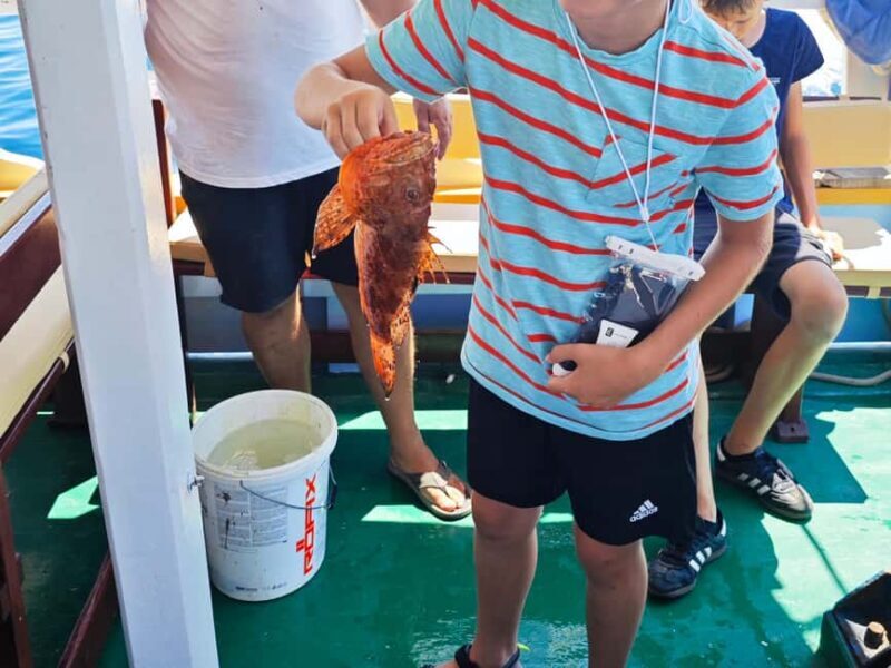 Biograd: Authentic Fishing Tour in Croatia. Kids Love This! - Discover the Real Croatia: What the Tour Offers