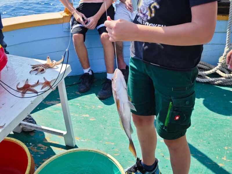 Biograd: Authentic Fishing Tour in Croatia. Kids Love This! - Authentic, Fun, and Educational