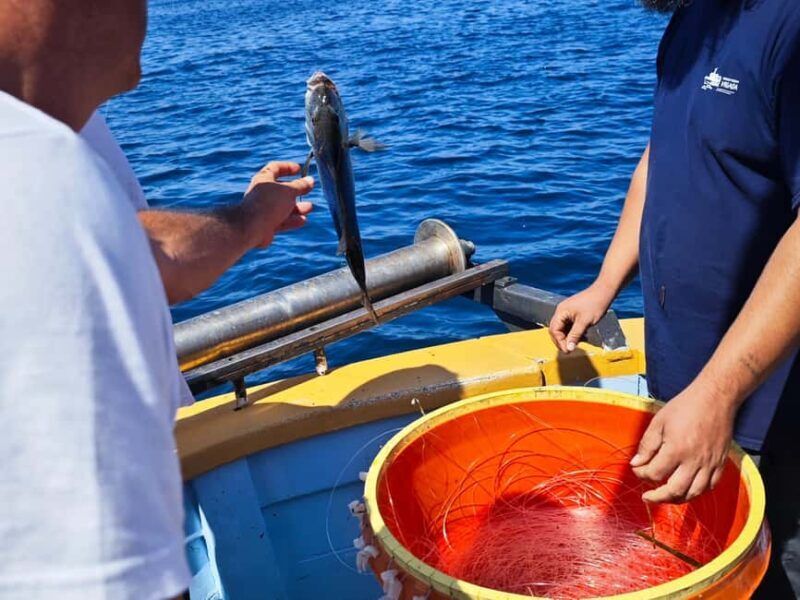 Biograd: Authentic Fishing Tour in Croatia. Kids Love This! - Who Will Love This Tour?